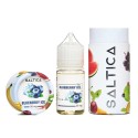 Saltica Blueberry Ice Salt Likit | Saltica Saltica Likit
